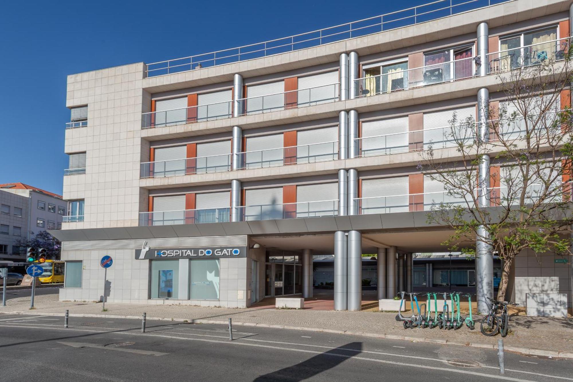 Lejlighed Beguest Premium Lisboa